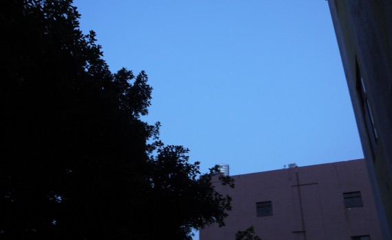 P1160201